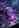 Optic Targeting Matrix
