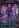 Viral Influencer