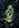 Ghost Proxy